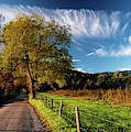 Sparks Lane